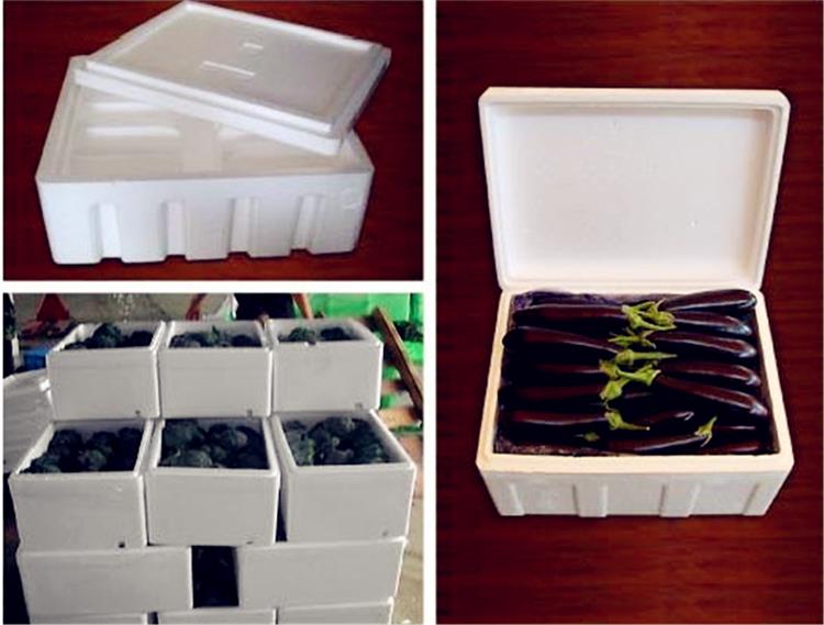 Longwell ईपीएस फल बॉक्स मशीन CE के साथ